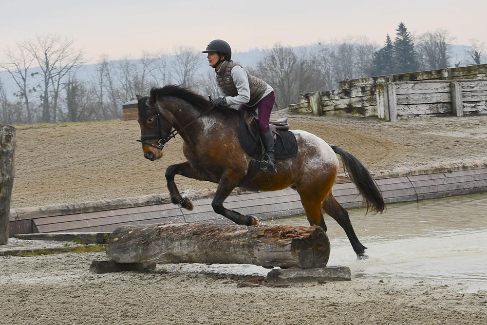 Fohlen RS Mighty Plaudit Kirin